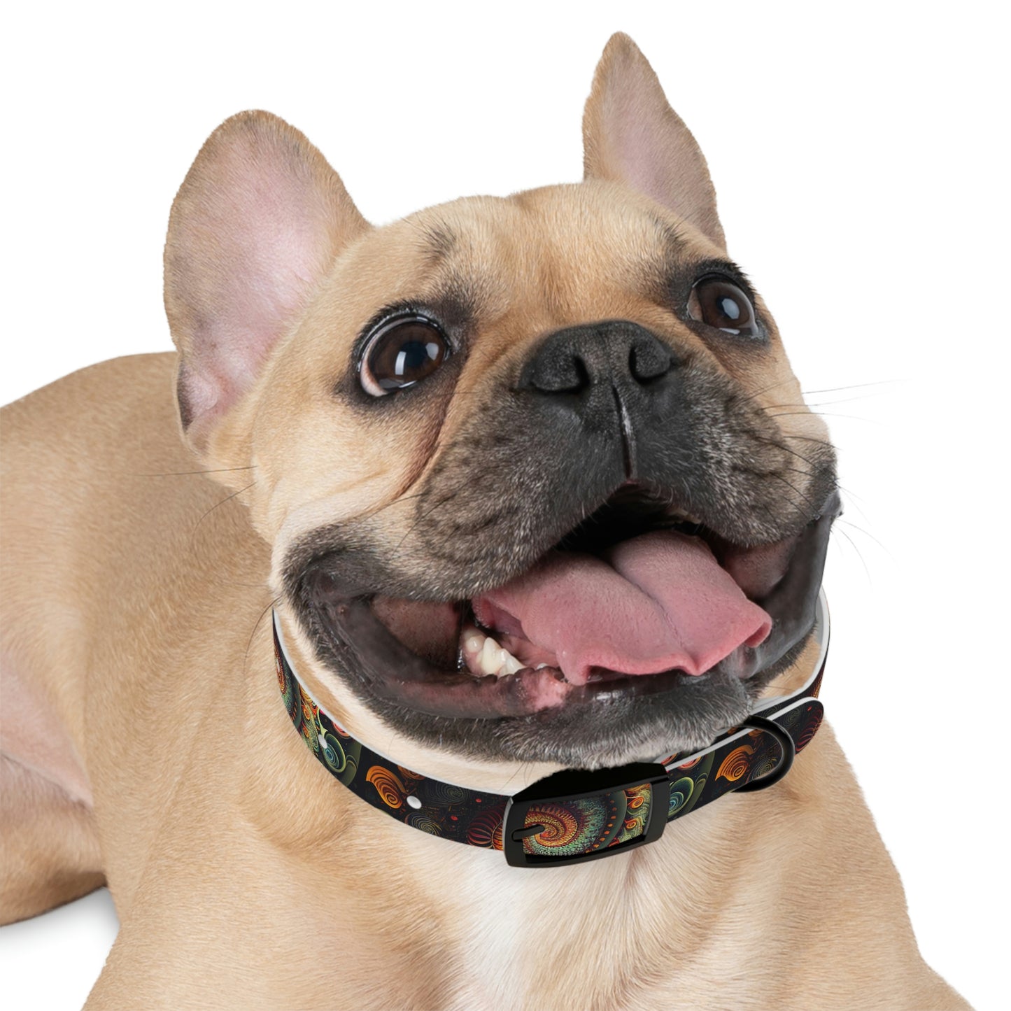 Psychedelic Swirl Dog Collar