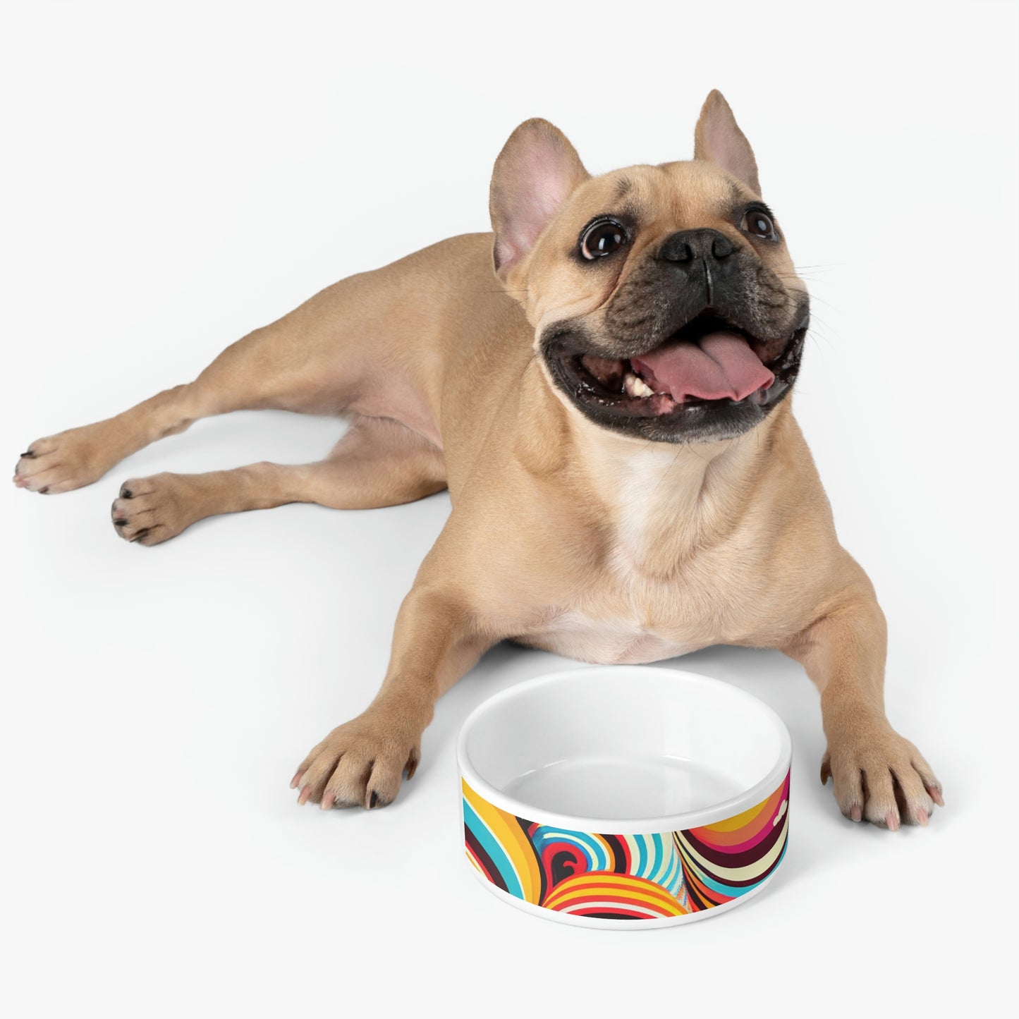 Groovy Pet Bowl