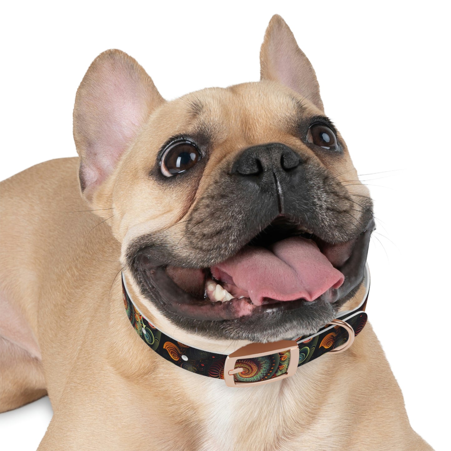 Psychedelic Swirl Dog Collar