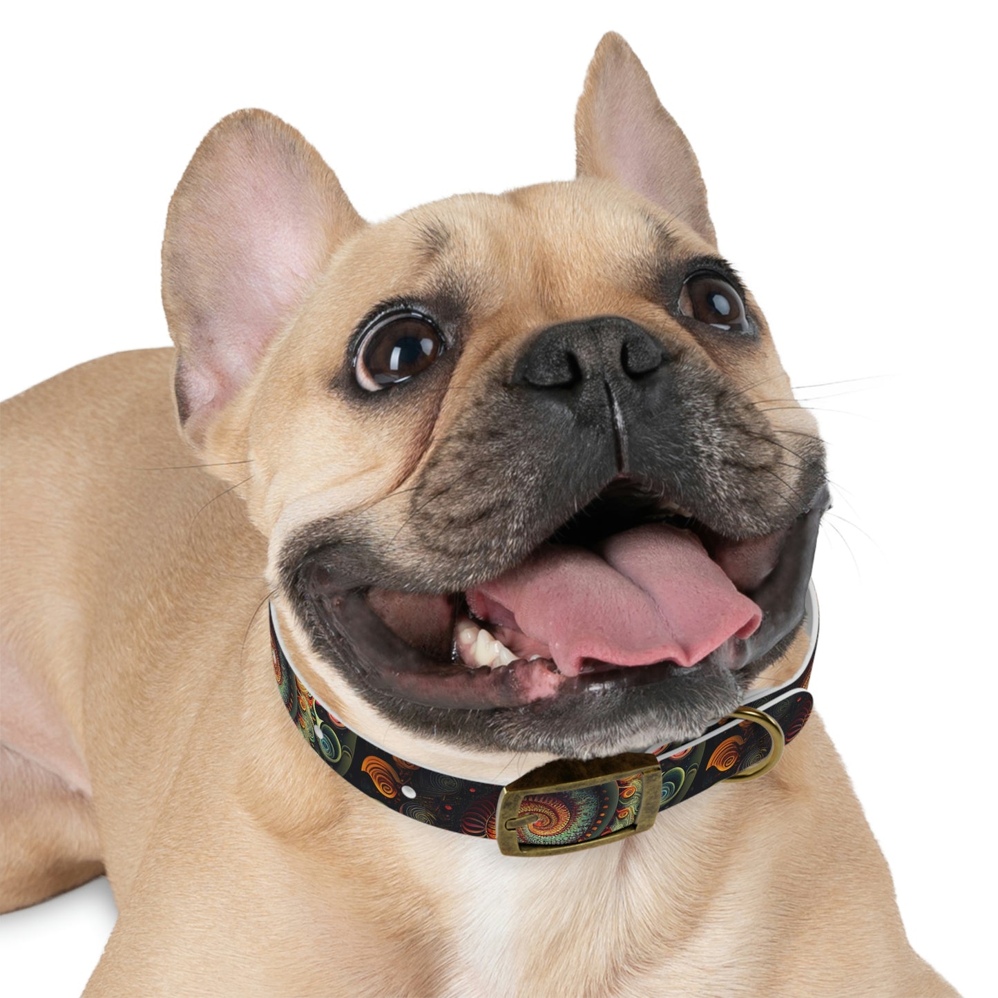 Psychedelic Swirl Dog Collar