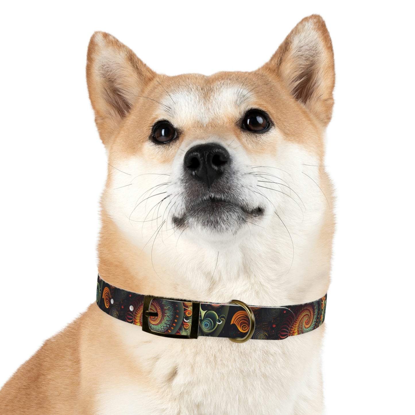 Psychedelic Swirl Dog Collar