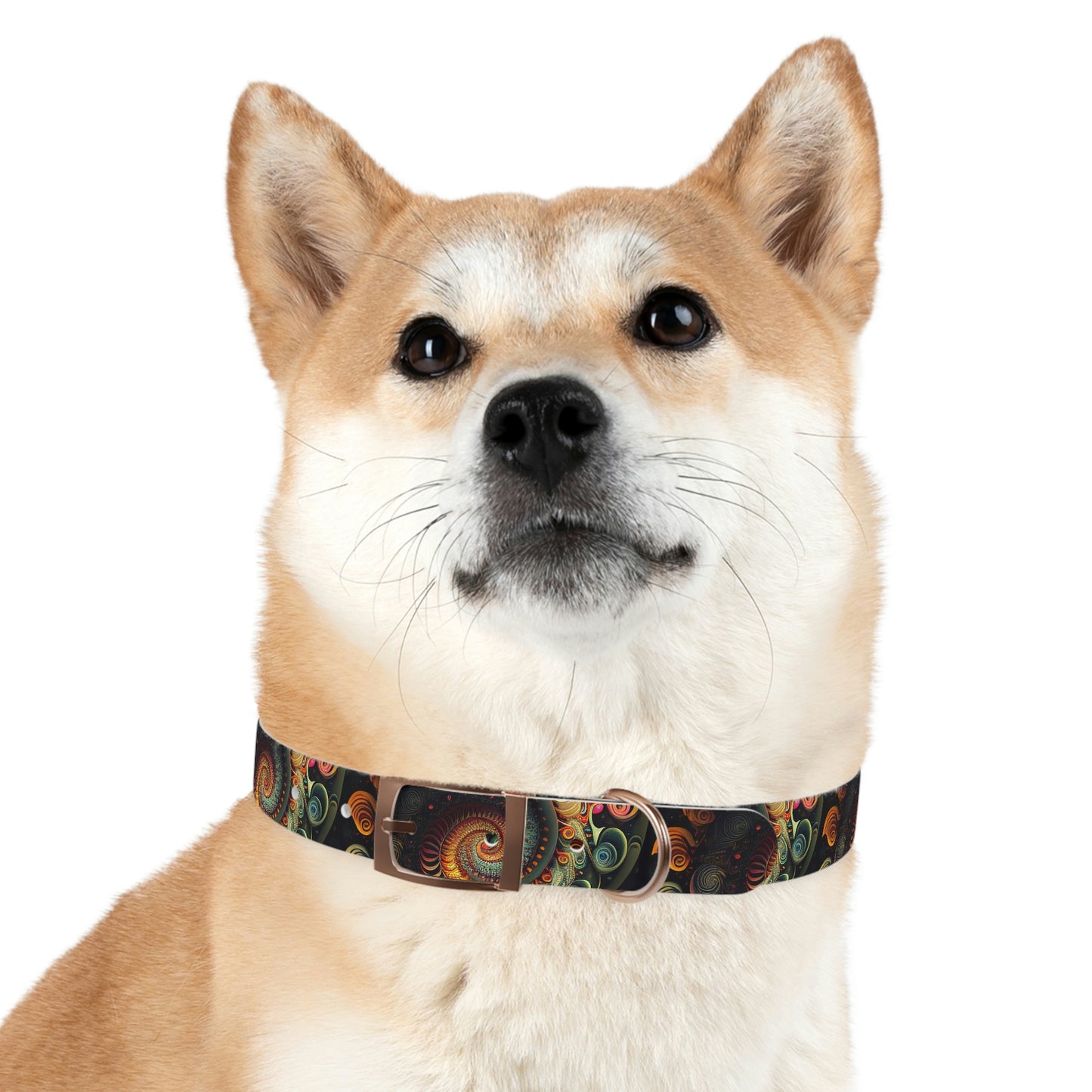 Psychedelic Swirl Dog Collar