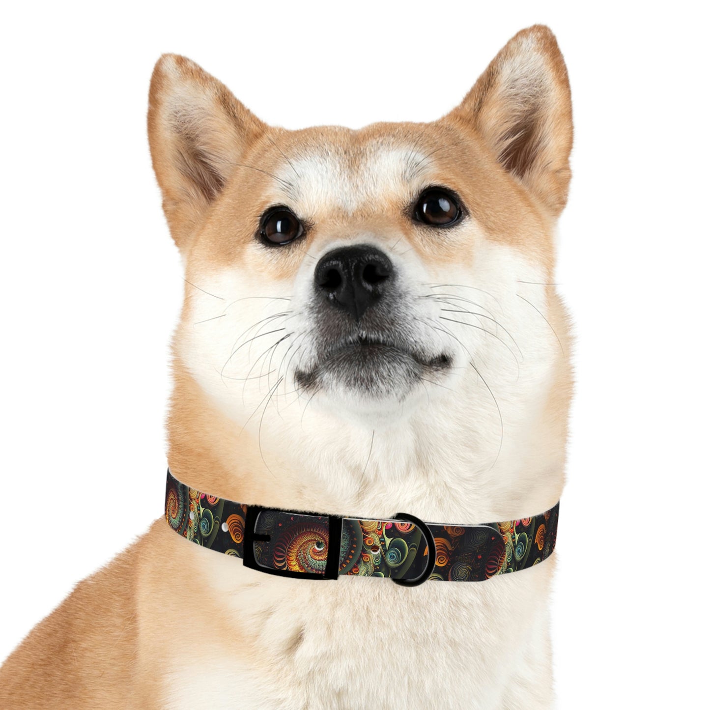 Psychedelic Swirl Dog Collar