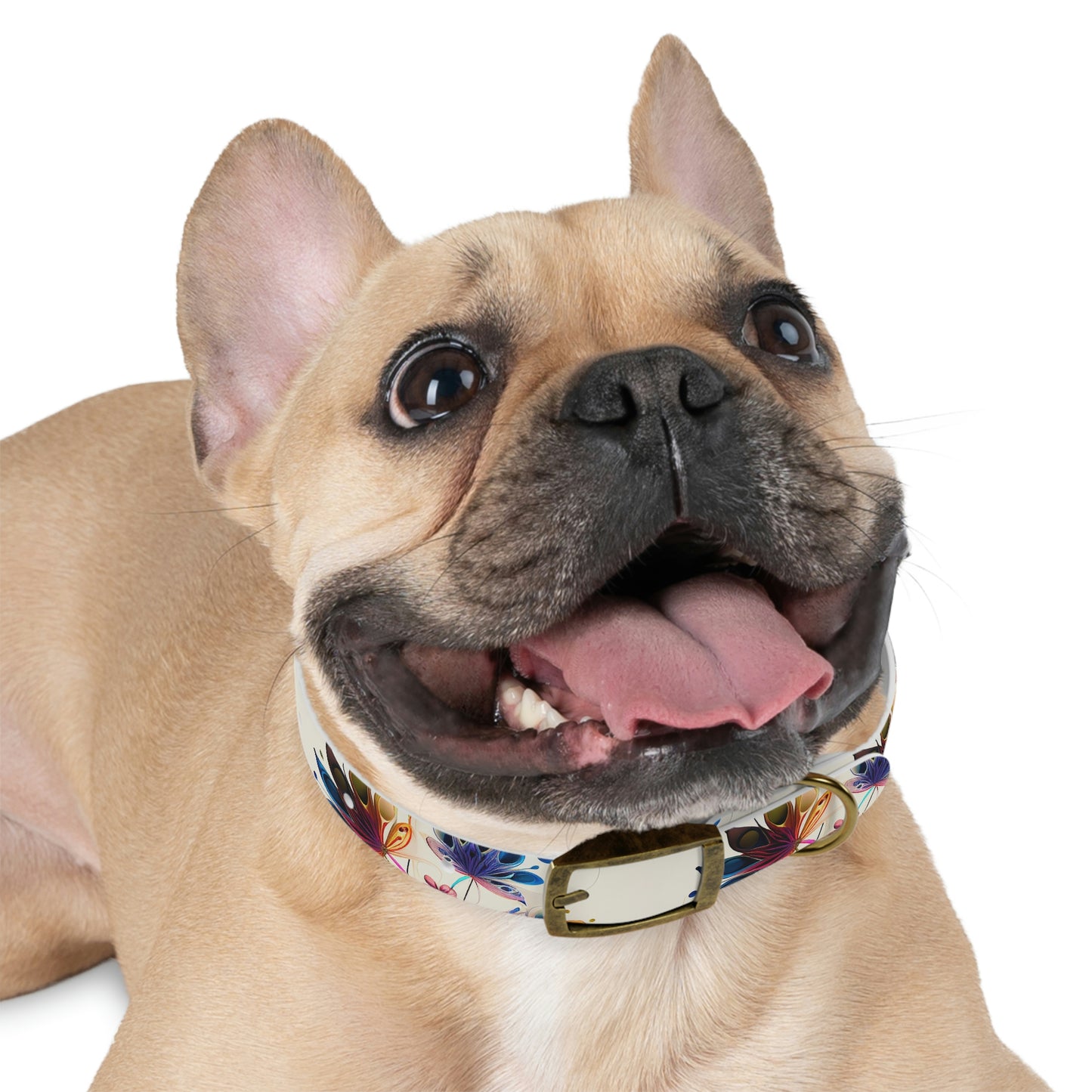 Flower Dog Collar