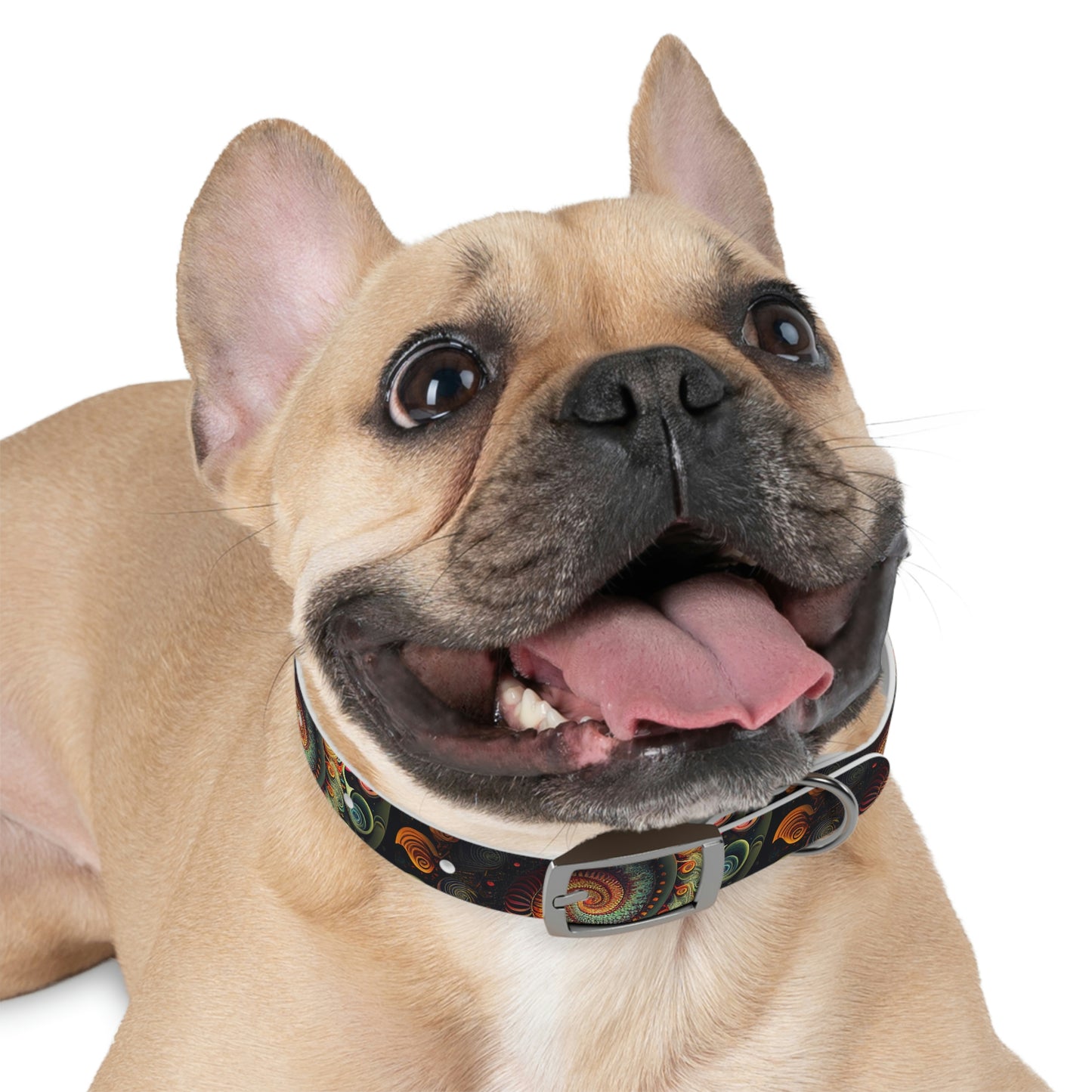 Psychedelic Swirl Dog Collar