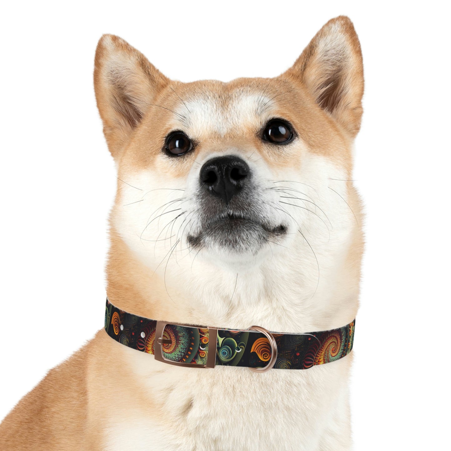 Psychedelic Swirl Dog Collar